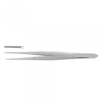 Dressing Forceps Stainless Steel, 15.5 cm - 6"